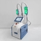 Cryolipolysis 40k Rf Kavitasi Ultrasonic Beauty Machine 650nm Lipo Laser Fat Freeze Slimming